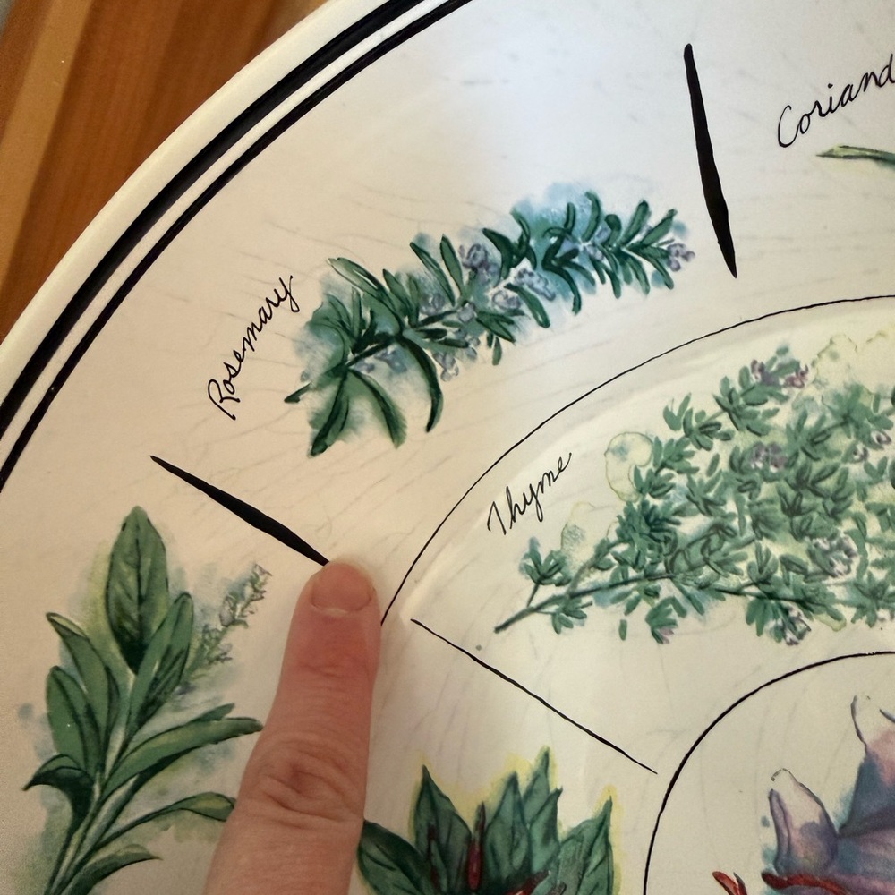 Williams-Sonoma 13” White Ceramic serving bowl with painted culinary herbs GUC - Picture 9 of 13